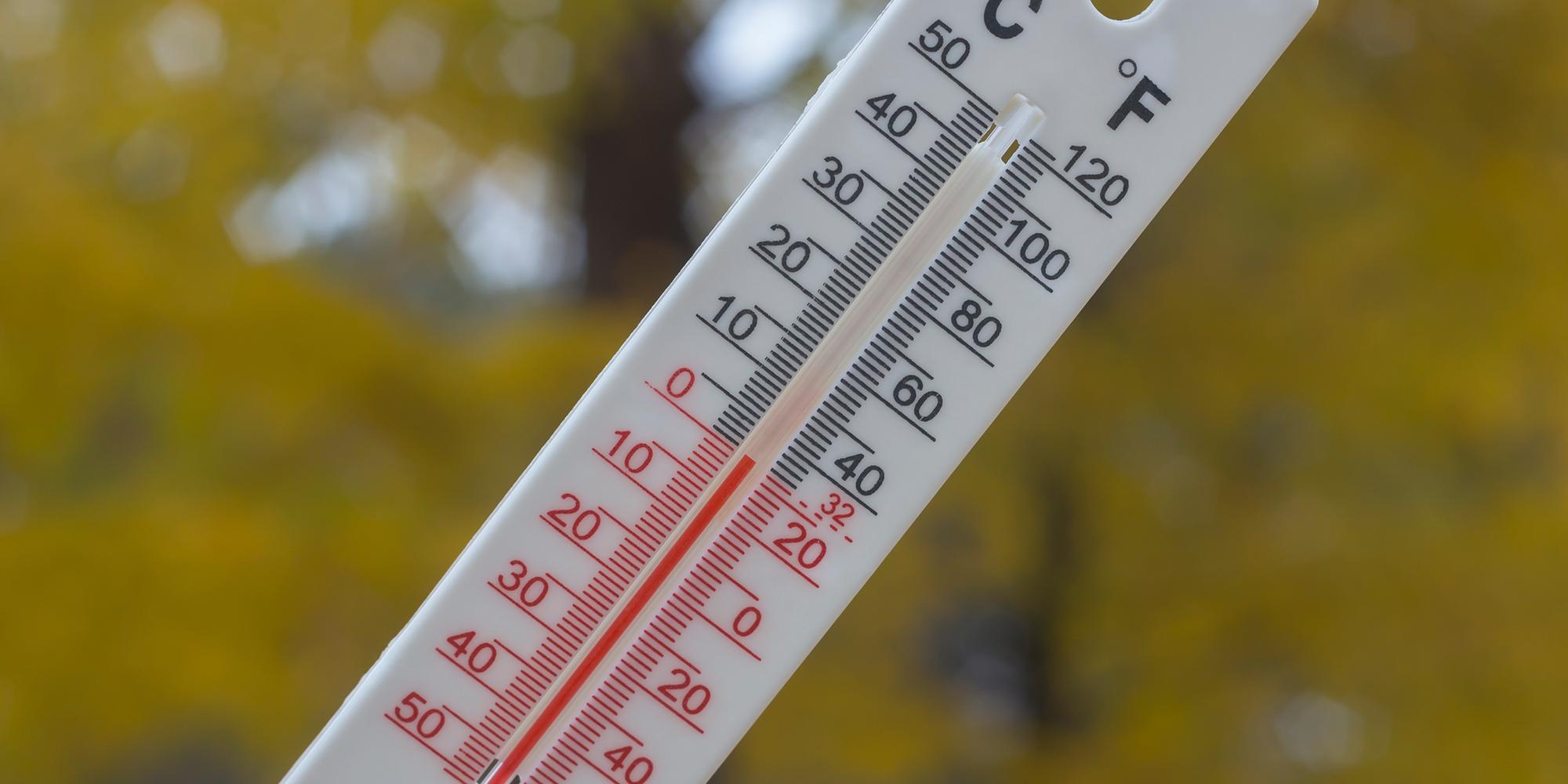 Tiefzinsumfeld-SNB-Anlagemöglichkeiten